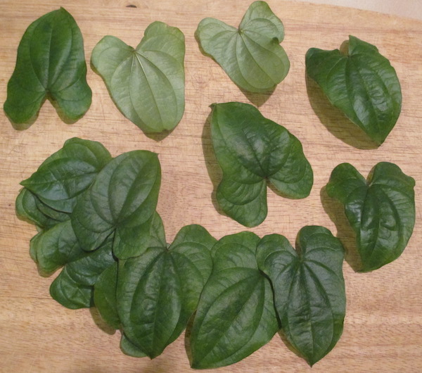 Dioscorea polystachya green leaves in kitchen