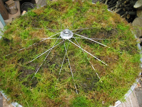 wheel with moss