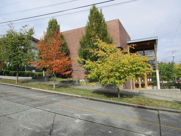 American Hornbeam <i>(Carpinus caroliniana)</i>