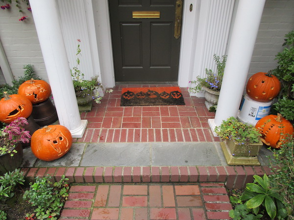 Carved pumpkins at a garden I maintain.