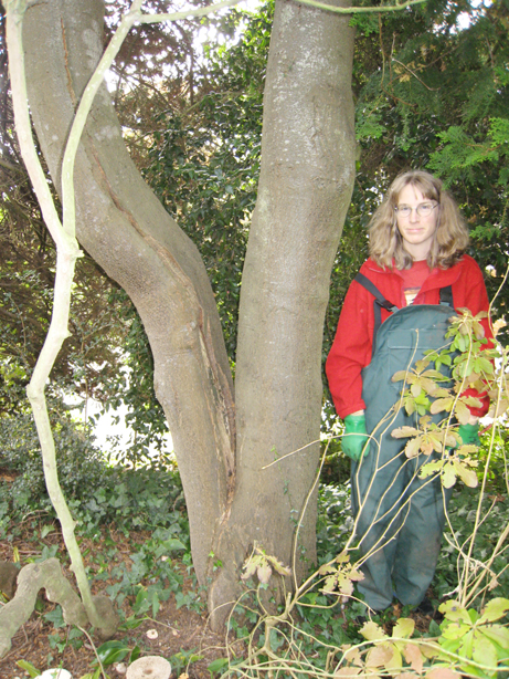 big Fire Tree trunk photo