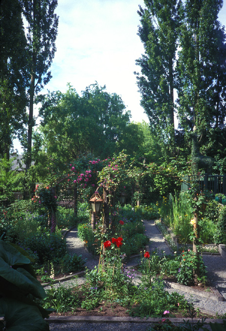 Joe's poplars frame his garden