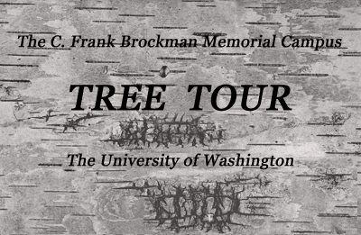 Tree Tour